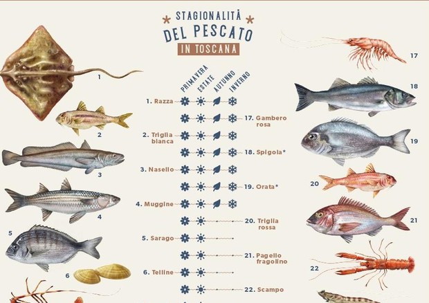 Calendario del pescato (Immagine da comunicato)