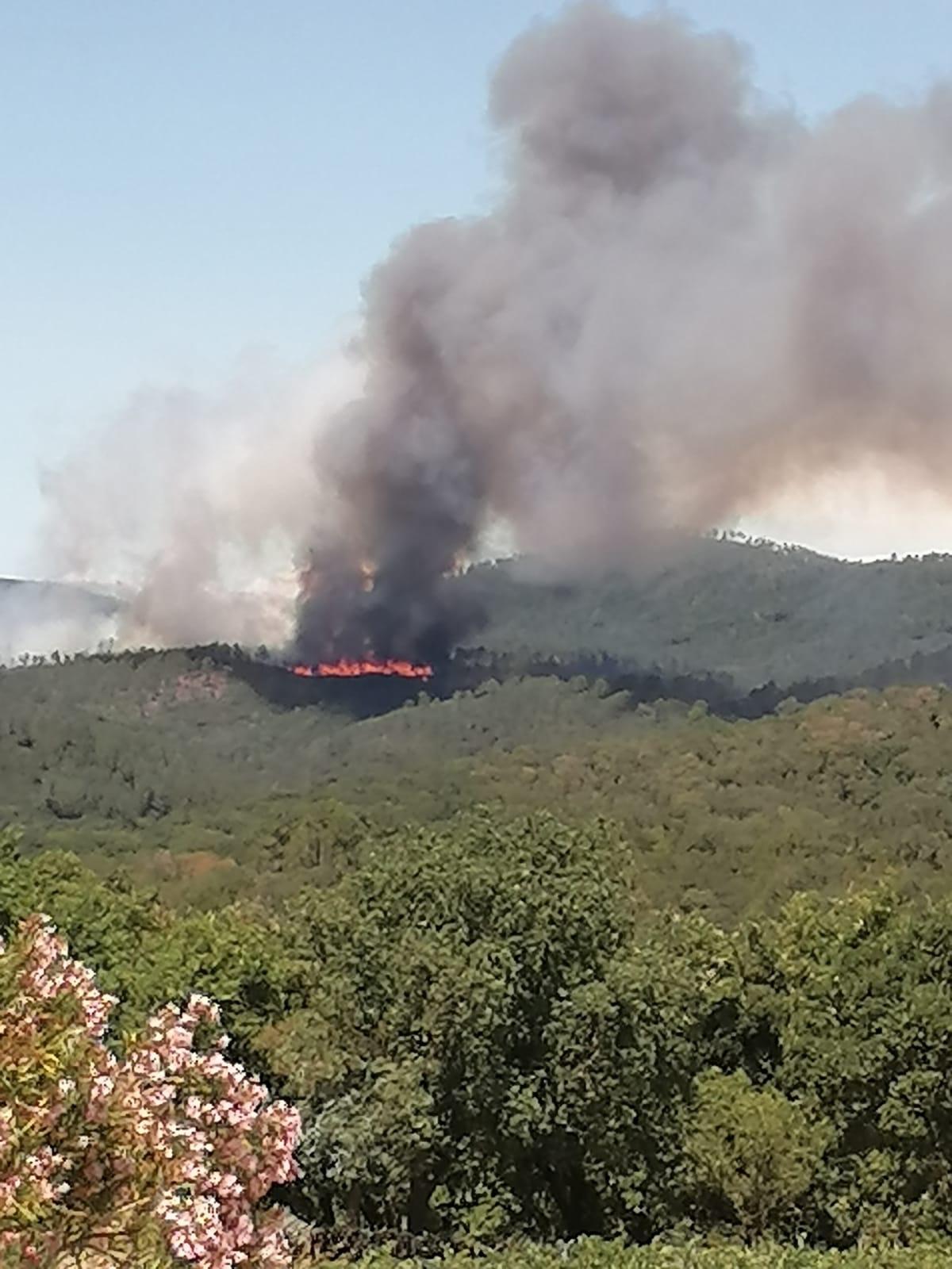 Incendio Paganico - fonte Regione Toscana