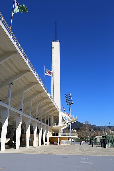 Stadio Artemio Franchi, torre maratona (Fonte foto wikimedia)