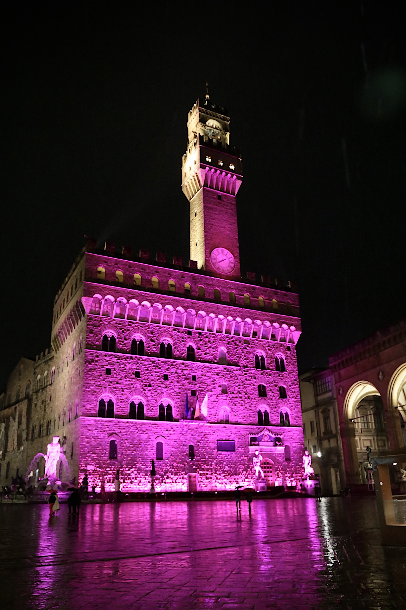 Palazzo Vecchio illuminato di rosa (foto Antonello Serino Met)