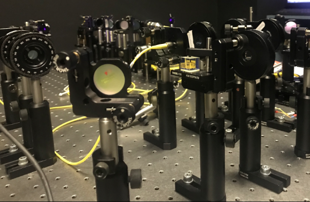 il piccolo computer fotonico usato per comprendere il legame tra fisica e informazione nell esperimento di UniFi, UniRoma3 e QUB (credit di Ilaria Gianani)