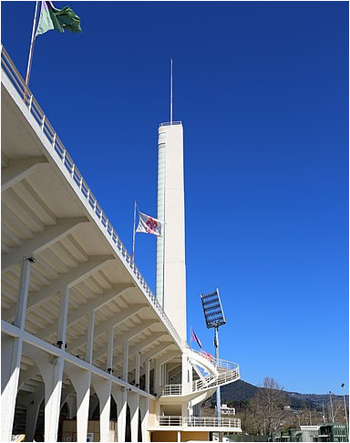 Stadio Franchi, torre maratona (Foto di repertorio)