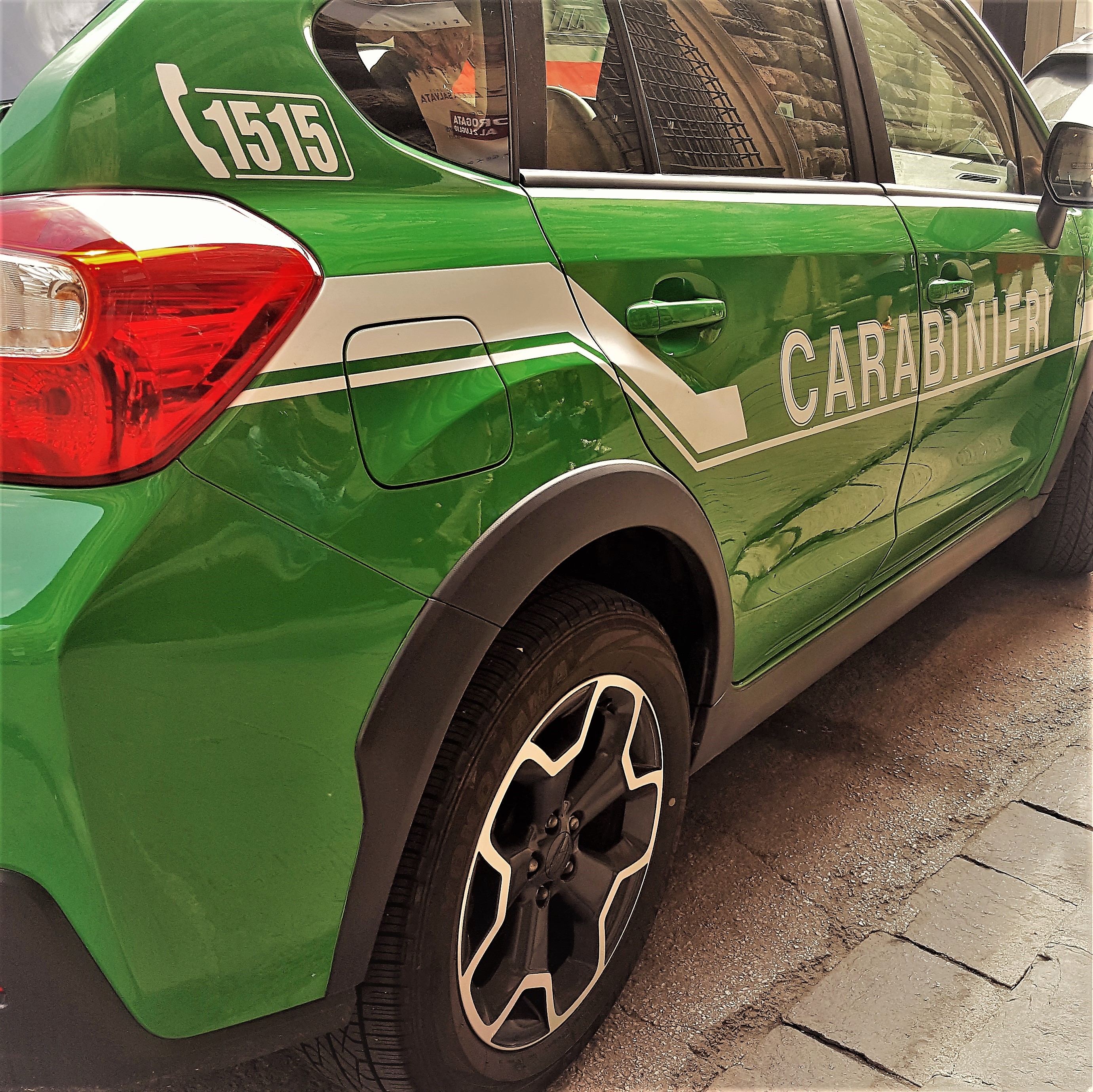 Carabinieri Forestali (foto archivio Antonello Serino)