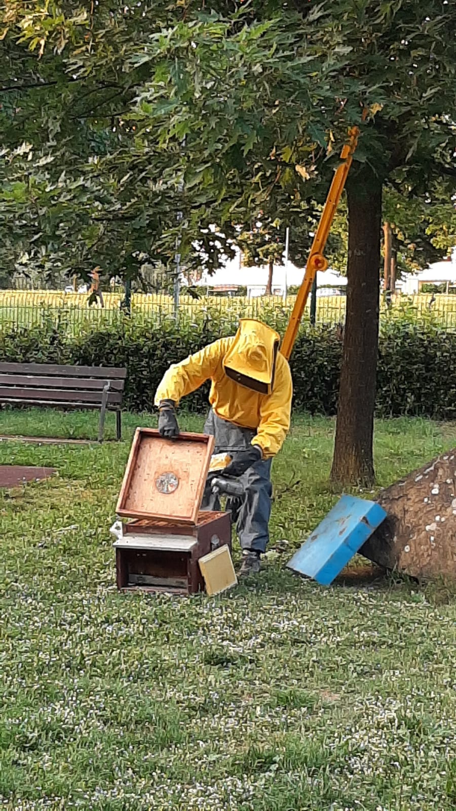 api al giardino di via Rodari (fontefotocomuneMontemurlo)