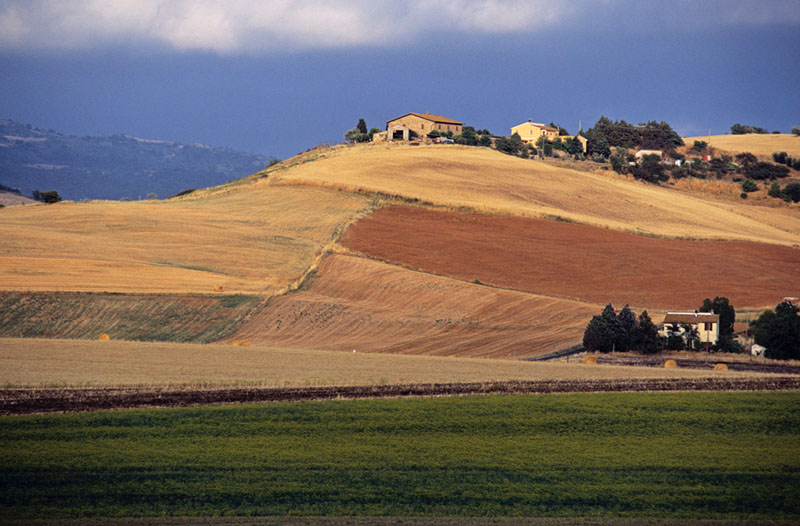 Campagna toscana, agricoltura (Fonte foto Regione Toscana)