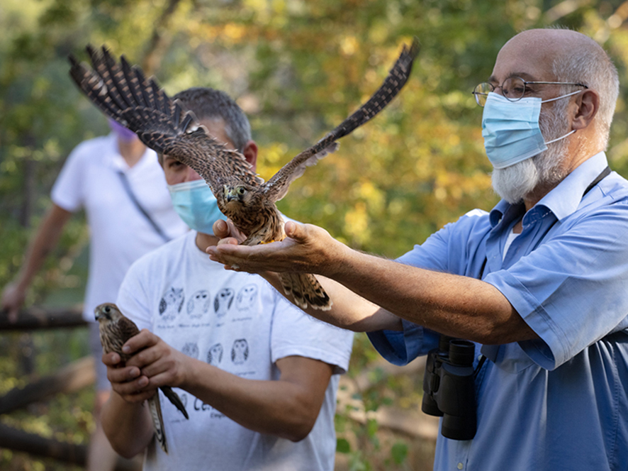 Liberazione pubblica dei rapaci recuperati e curati dal Cetras di Empoli