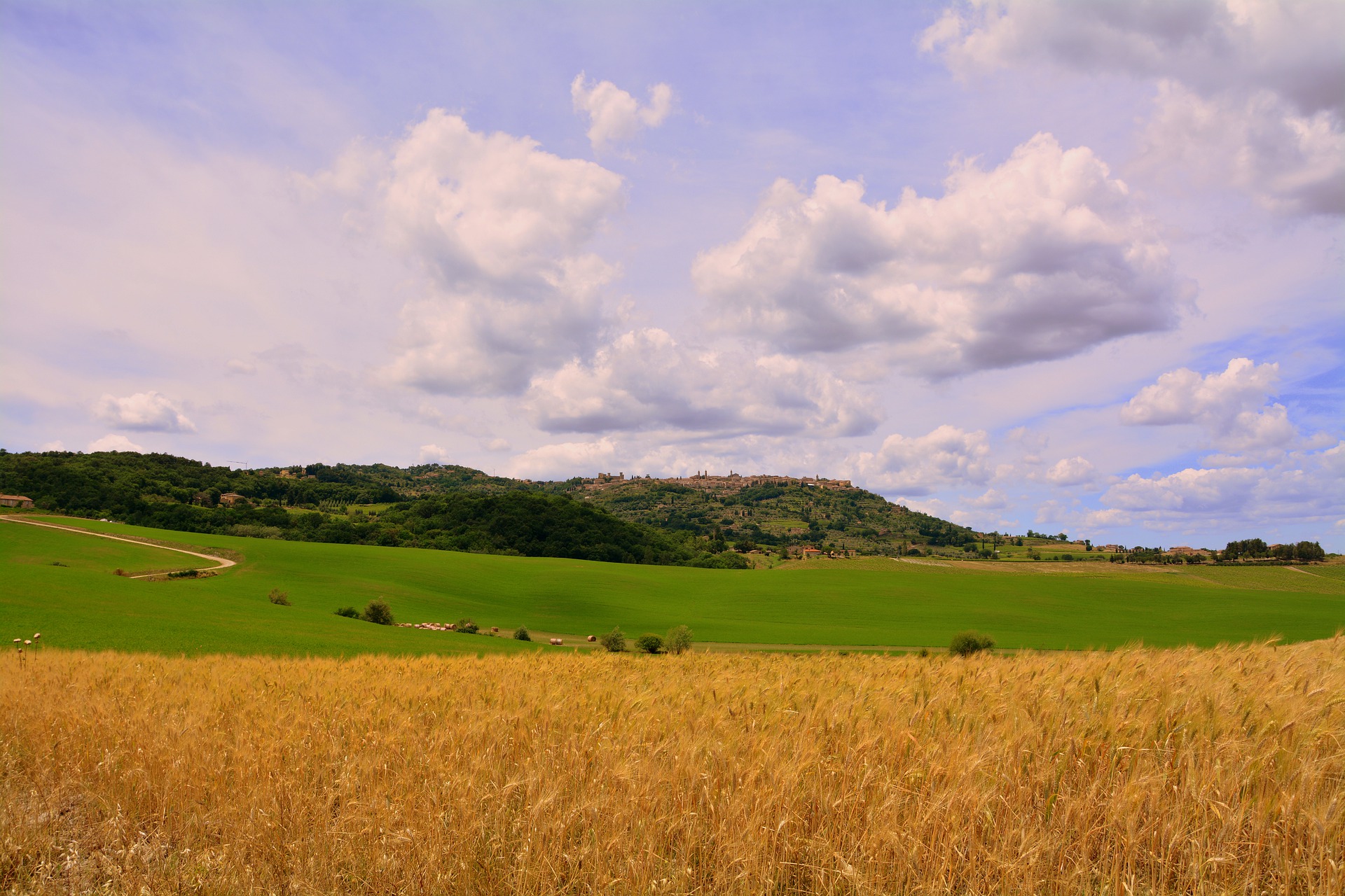 Agricoltura: sì al bilancio di esercizio 2021 di Ente Terre (Fonte foto Consiglio della Regione Toscana)