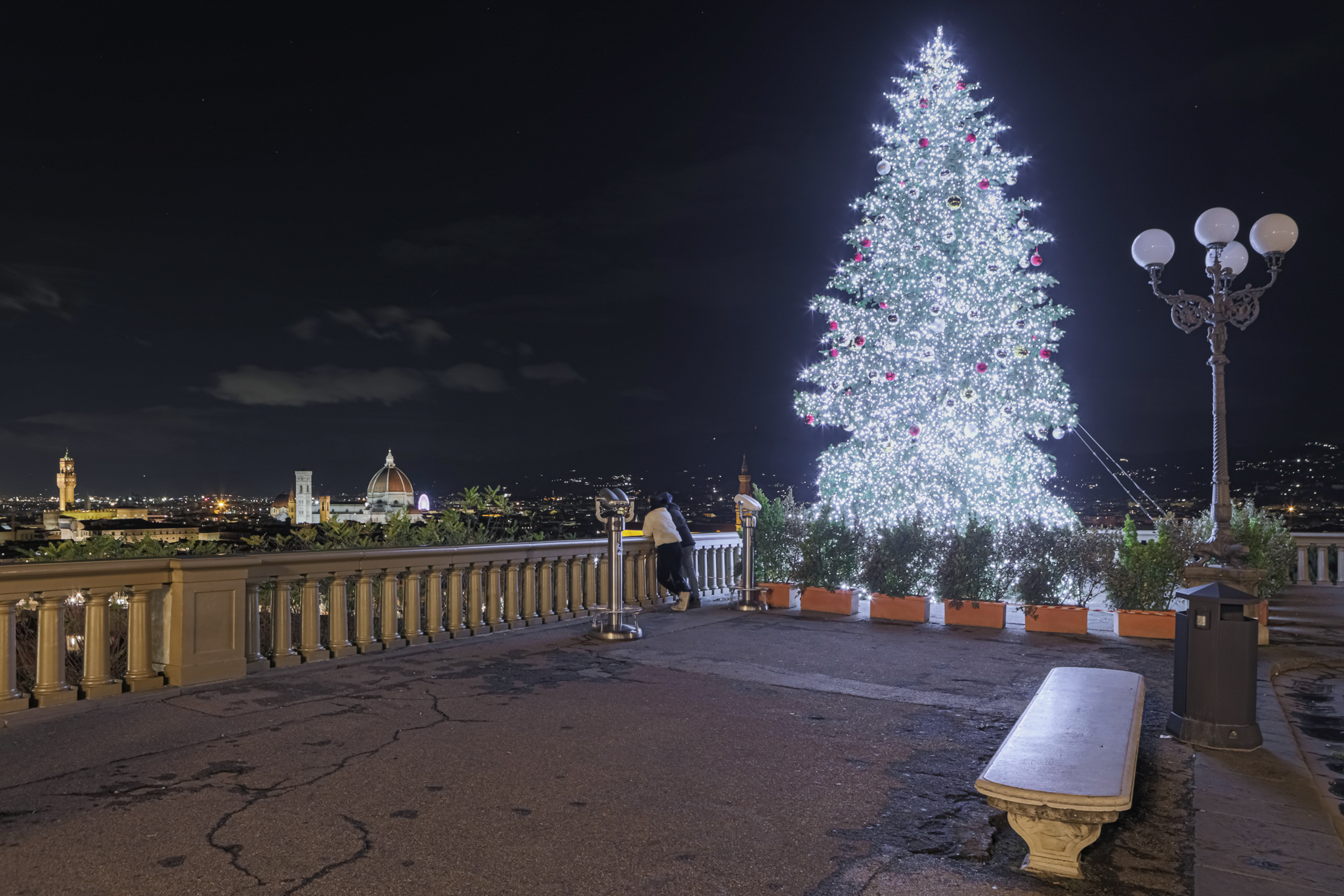 L'albero di Natale 2021 al  Piazzale Michelangelo (Fonte foto Mus.E)