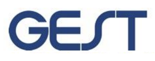 logo Gest