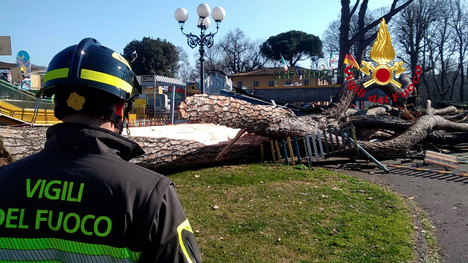 Intervento dei Vigili del Fuoco per la caduta di una pianta ad alto fusto (Fonte foto Vvf)