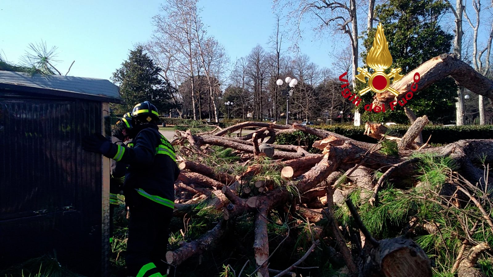 Intervento dei Vigili del Fuoco per la caduta di una pianta ad alto fusto (Fonte foto Vvf)
