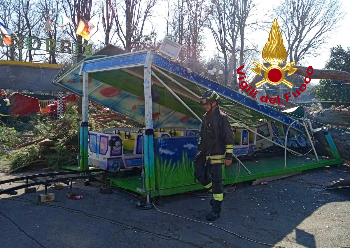 Intervento dei Vigili del Fuoco per la caduta di una pianta ad alto fusto (Fonte foto Vvf)