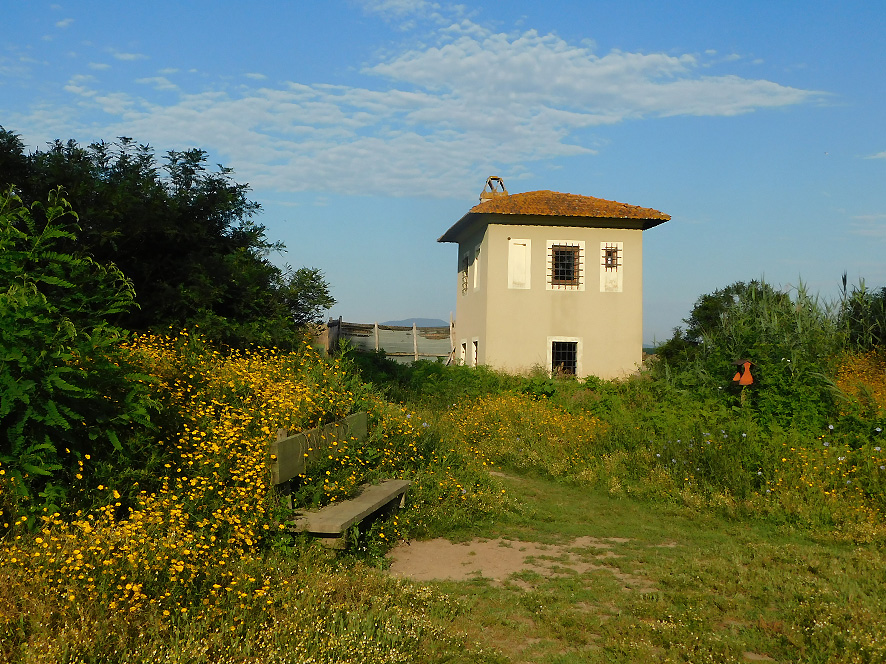 Osservatorio Le Morette (Fonte foto Padule di Fucecchio)