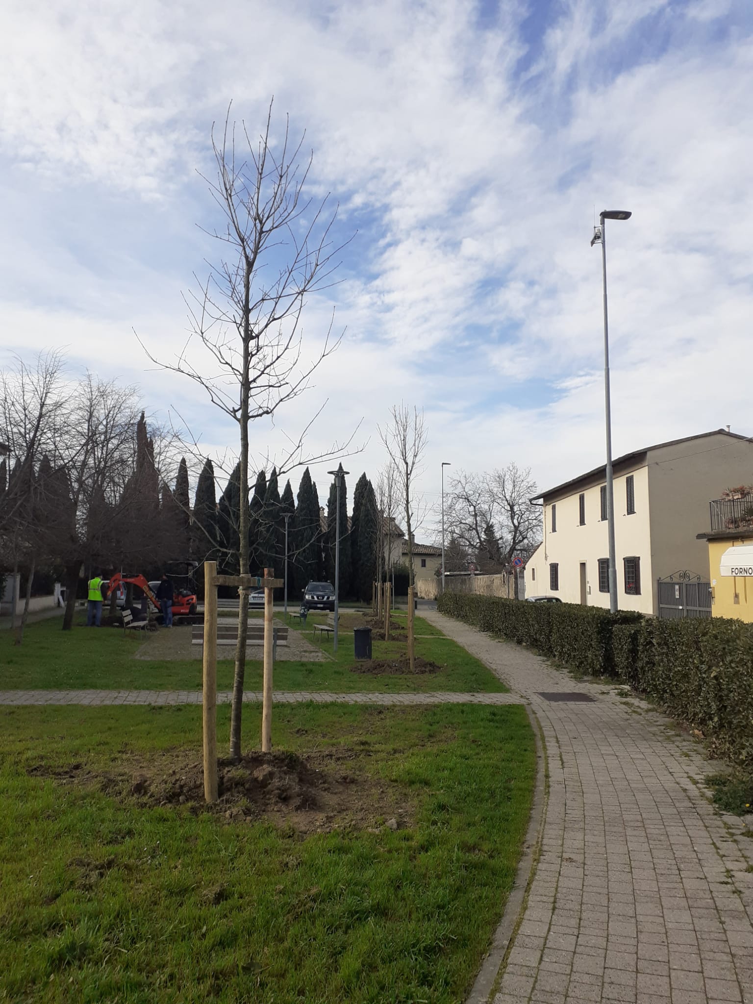 Verde, 140 nuovi alberi a Sesto Fiorentino