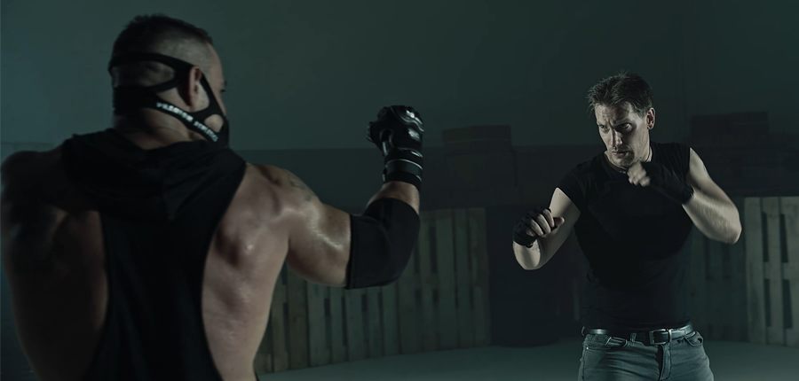 The last fighter