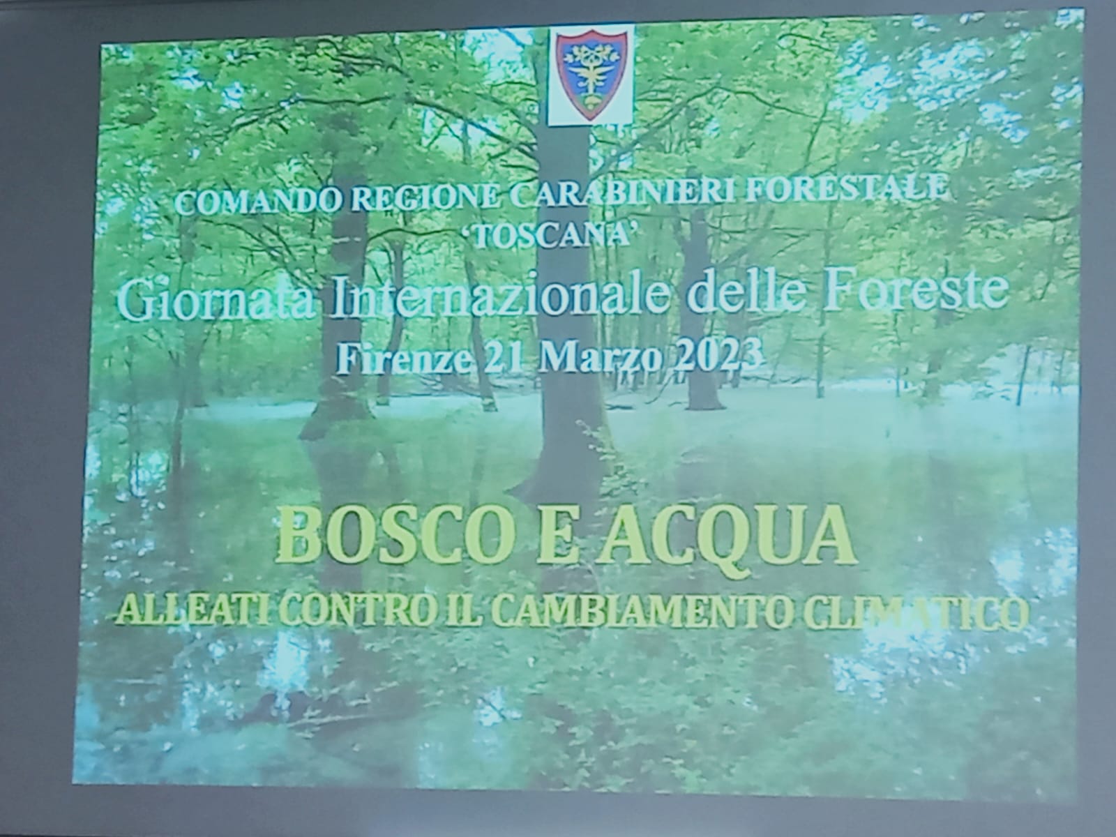 Bosco e Acqua (Fonte foto Carabinieri Forestali)