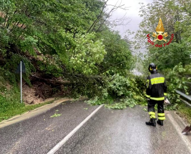 Caduta alberi maltempo (Fonte foto Vigili del Fuoco)
