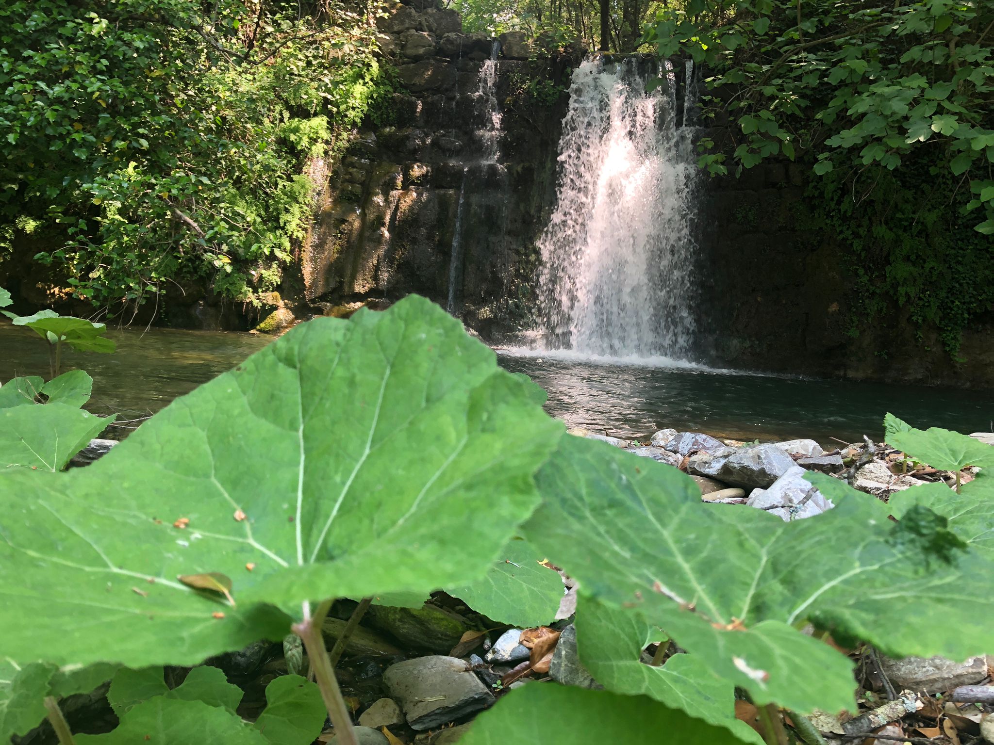 Una cascata lungo il torrente Bagnolo (Fonte foto Comune di Montemurlo)