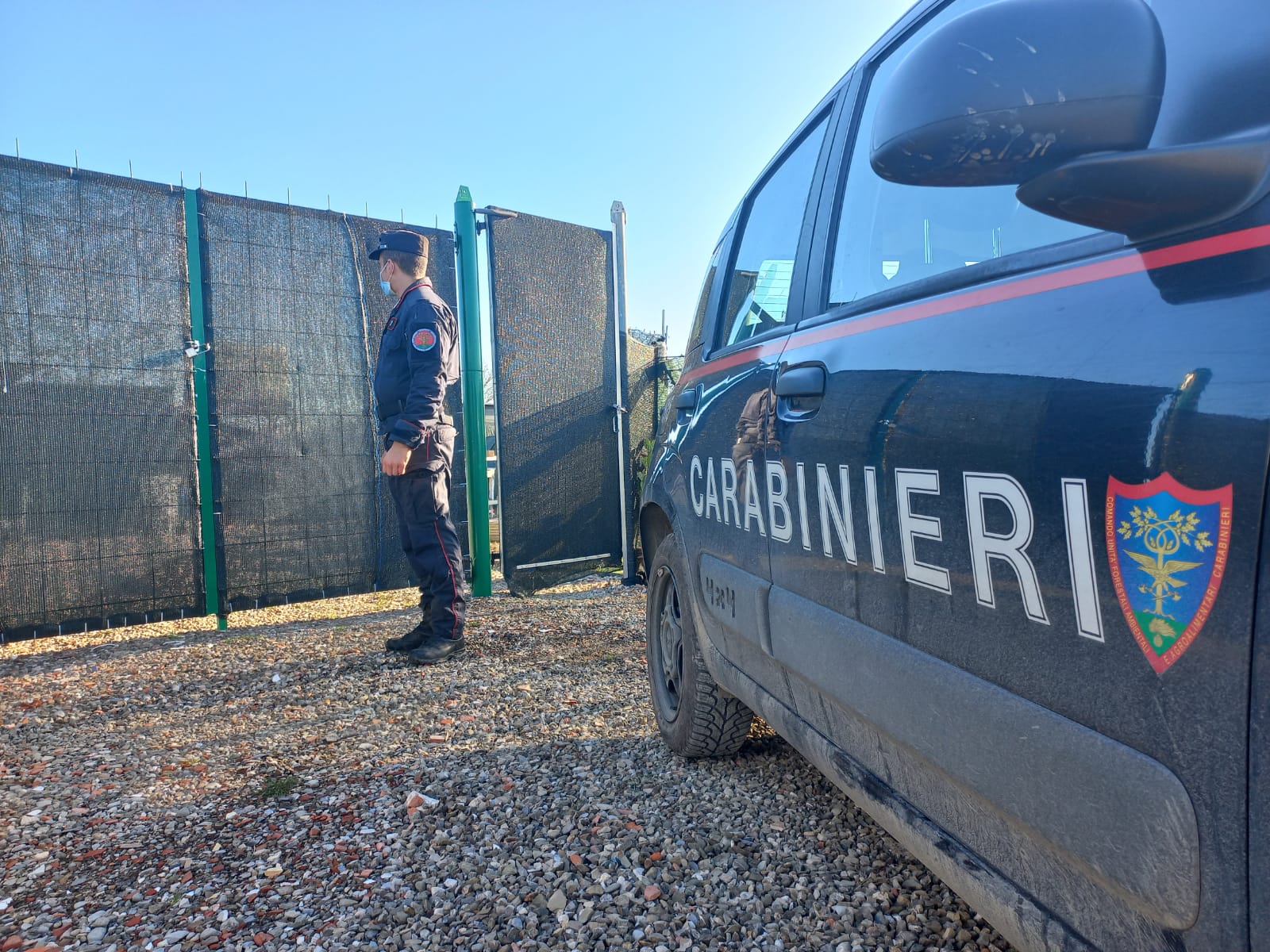 Manufatti abusivi (fonte foto Carabinieri Forestali)