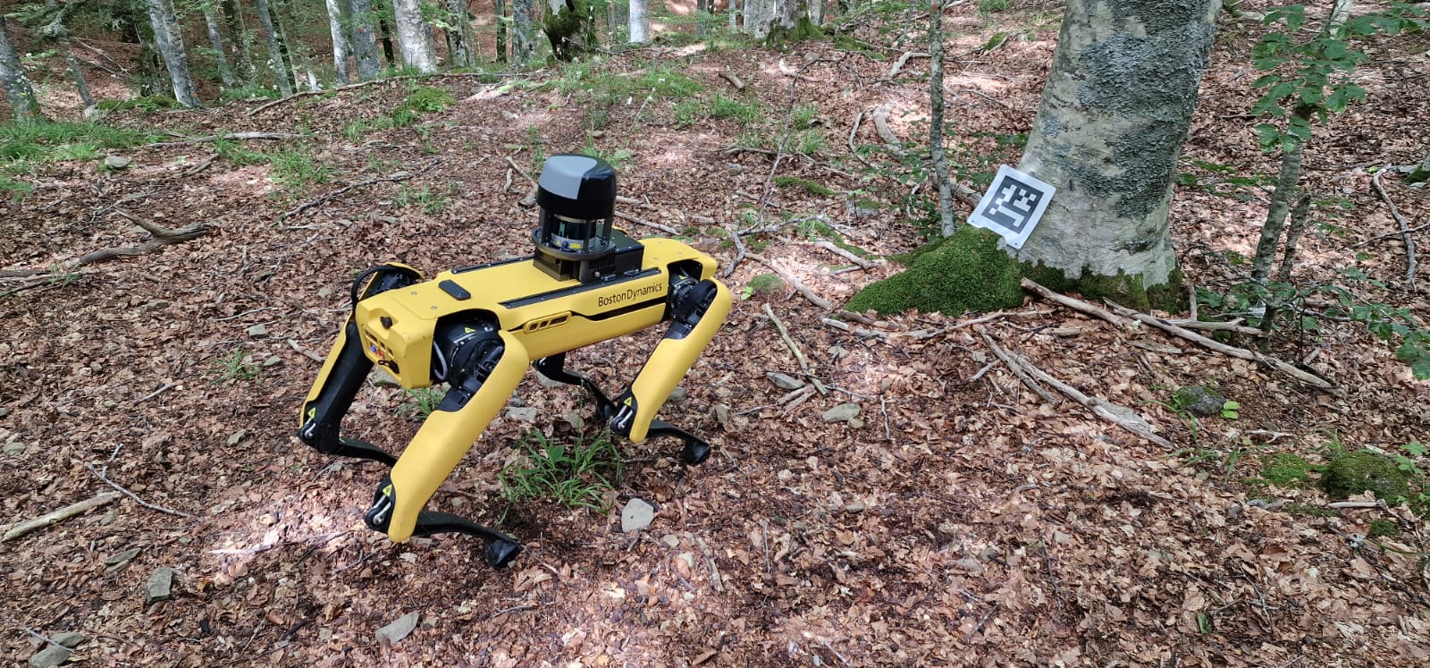 Spot in azione presso la Riserva di Vallombrosa in Toscana (fonte foto Università degli Studi di Firenze)