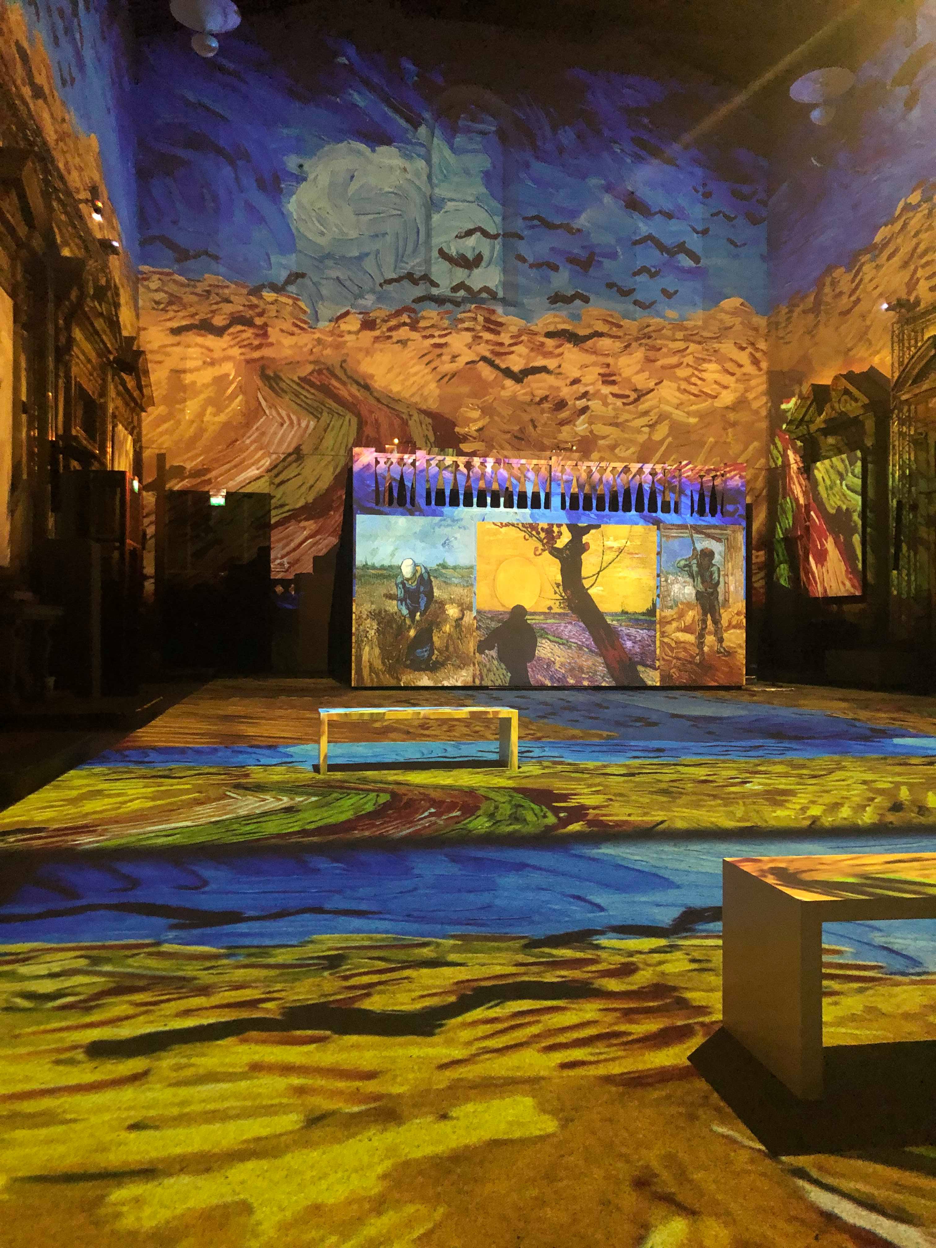 Van Gogh, una mostra immersiva nella “Notte Stellata” (22 Febbraio