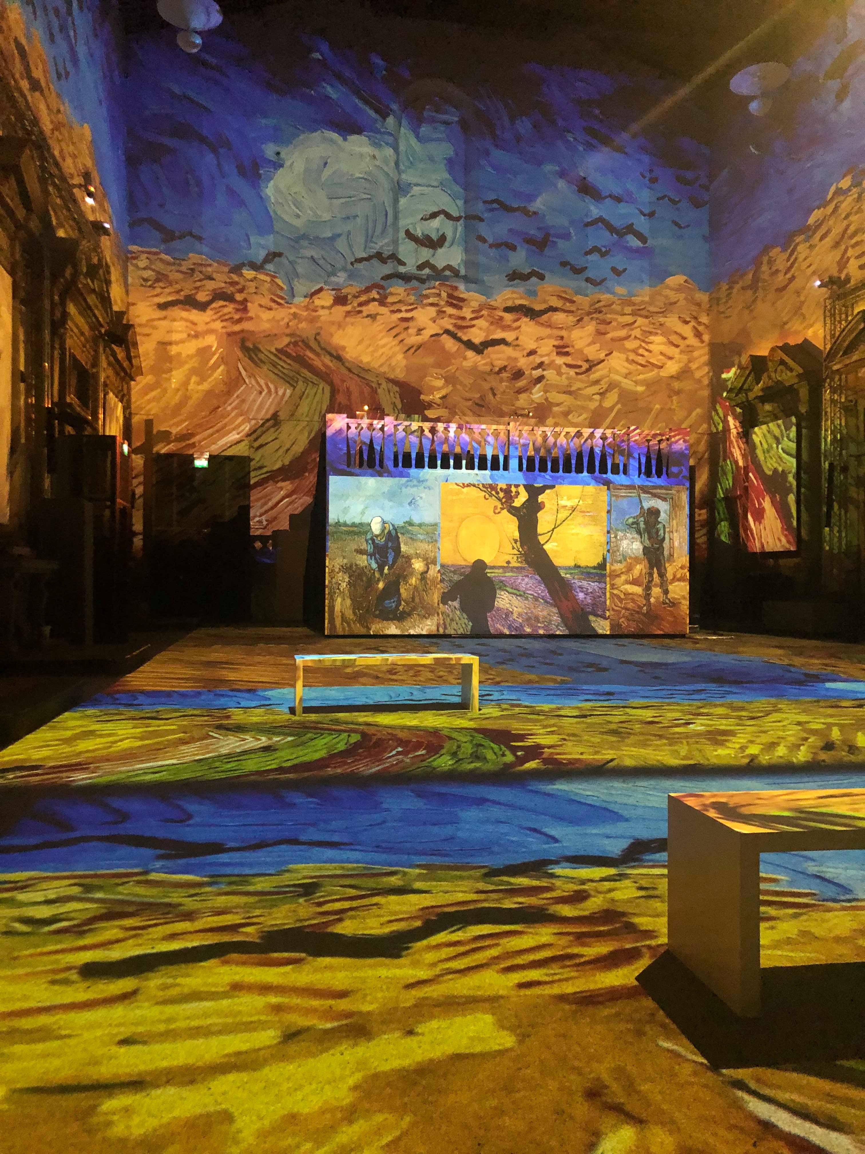 Mostra Van Gogh (Fonte foto Opera Laboratori)