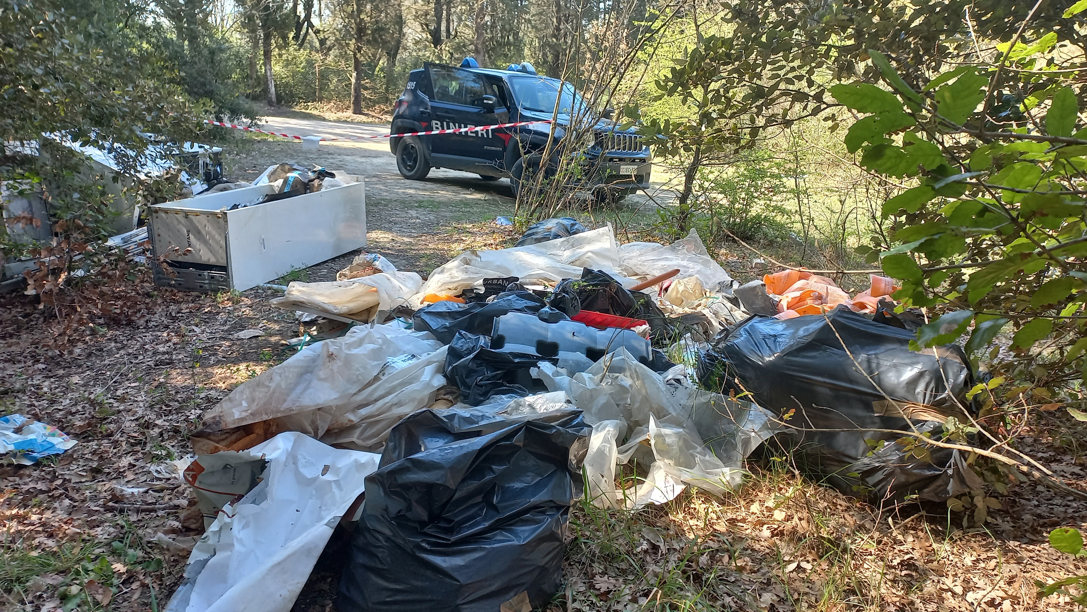Gestione illecita di rifiuti (Fonte foto Carabinieri Forestali)