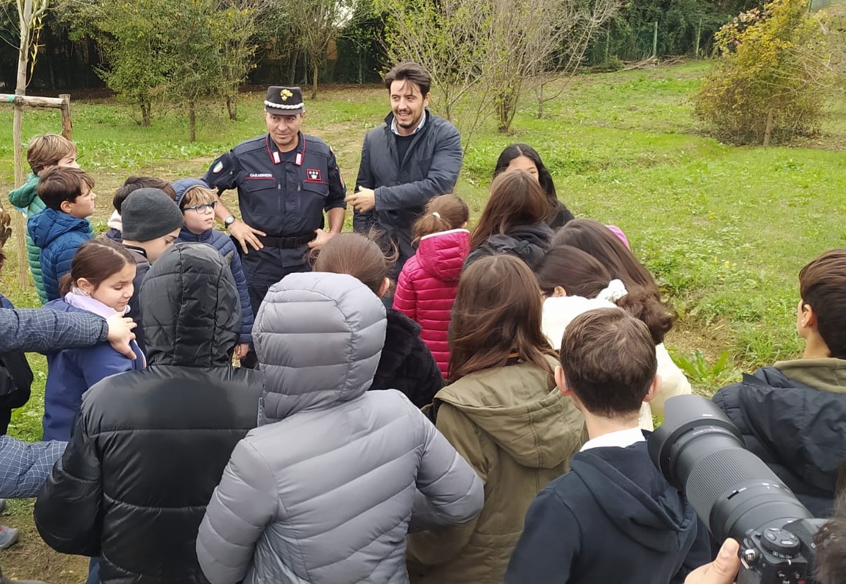 Giornata nazionale degli alberi