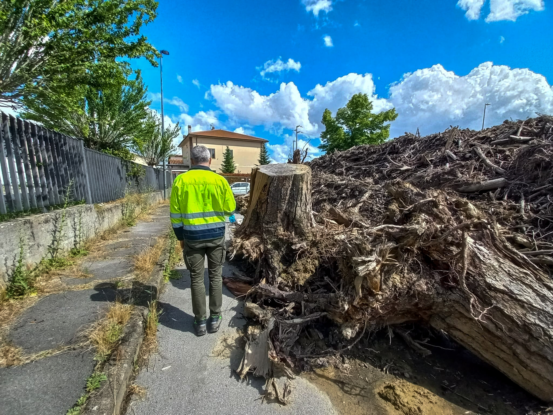 Rifiuti alluvionali (Fonte foto Alia Spa)