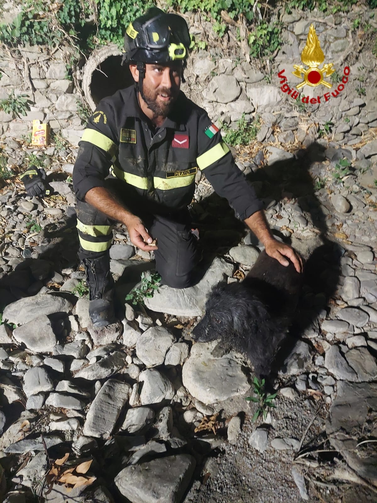 Il piccolo tobia appena estratto (Fonte foto Vigili del Fuoco)