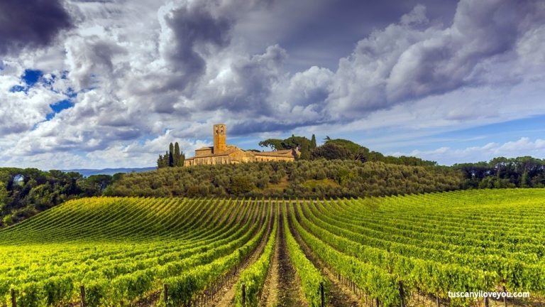 Ville-Fattoria Chianti Classico (Fonte foto Comune di Greve in Chianti)