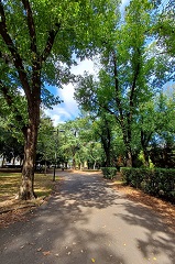 Parchi e giardini (foto Antonello Serino - Met Ufficio Stampa)