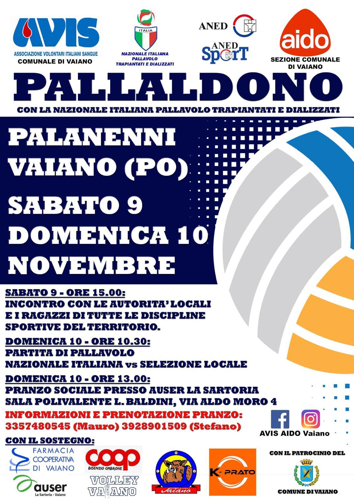 Pallaldono locandina