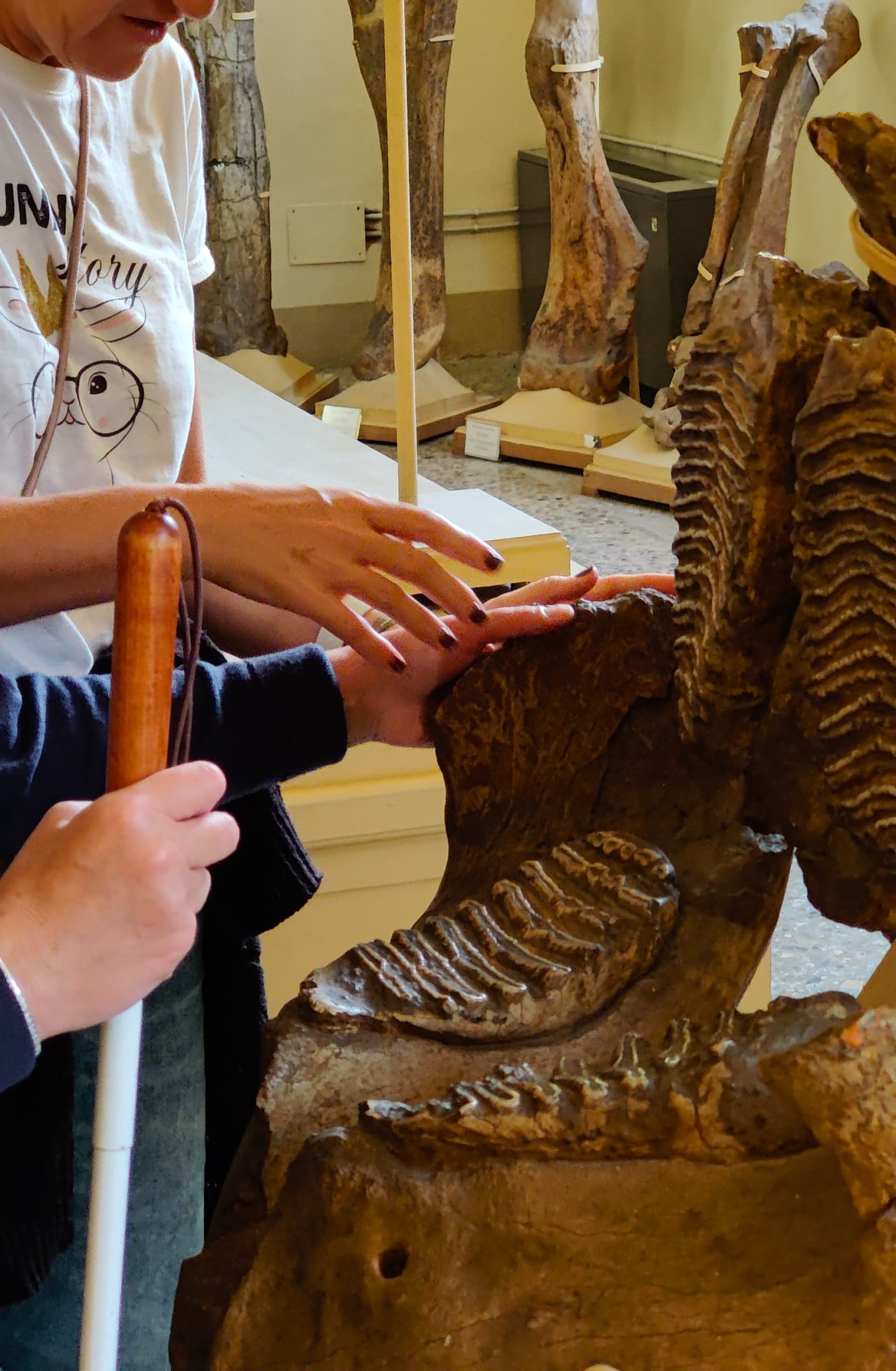 Iniziativa a Geologia e Paleontologia (Fonte foto Università degli Studi di Firenze)