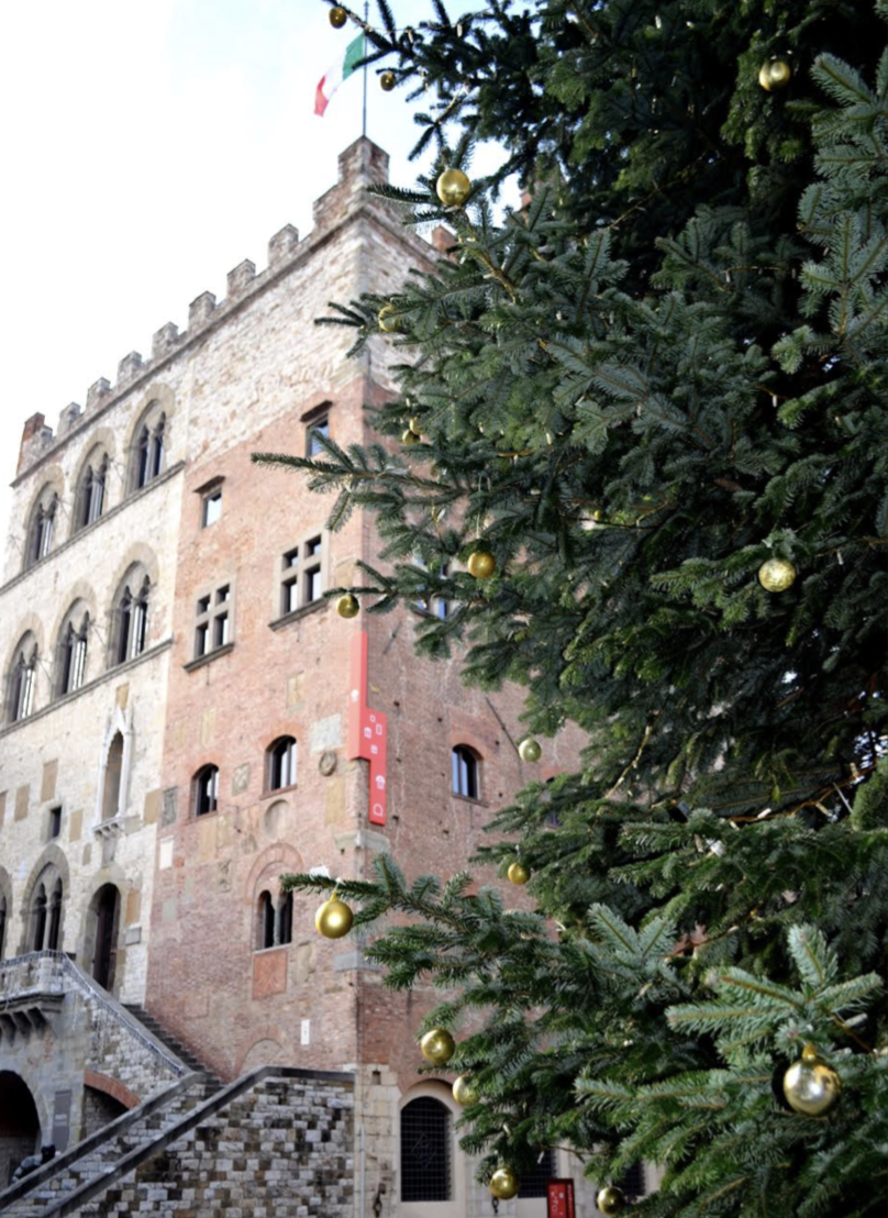 Albero di Natale di fronte Palazzo Pretorio (Fonte foto Museo di Palazzo Pretorio)