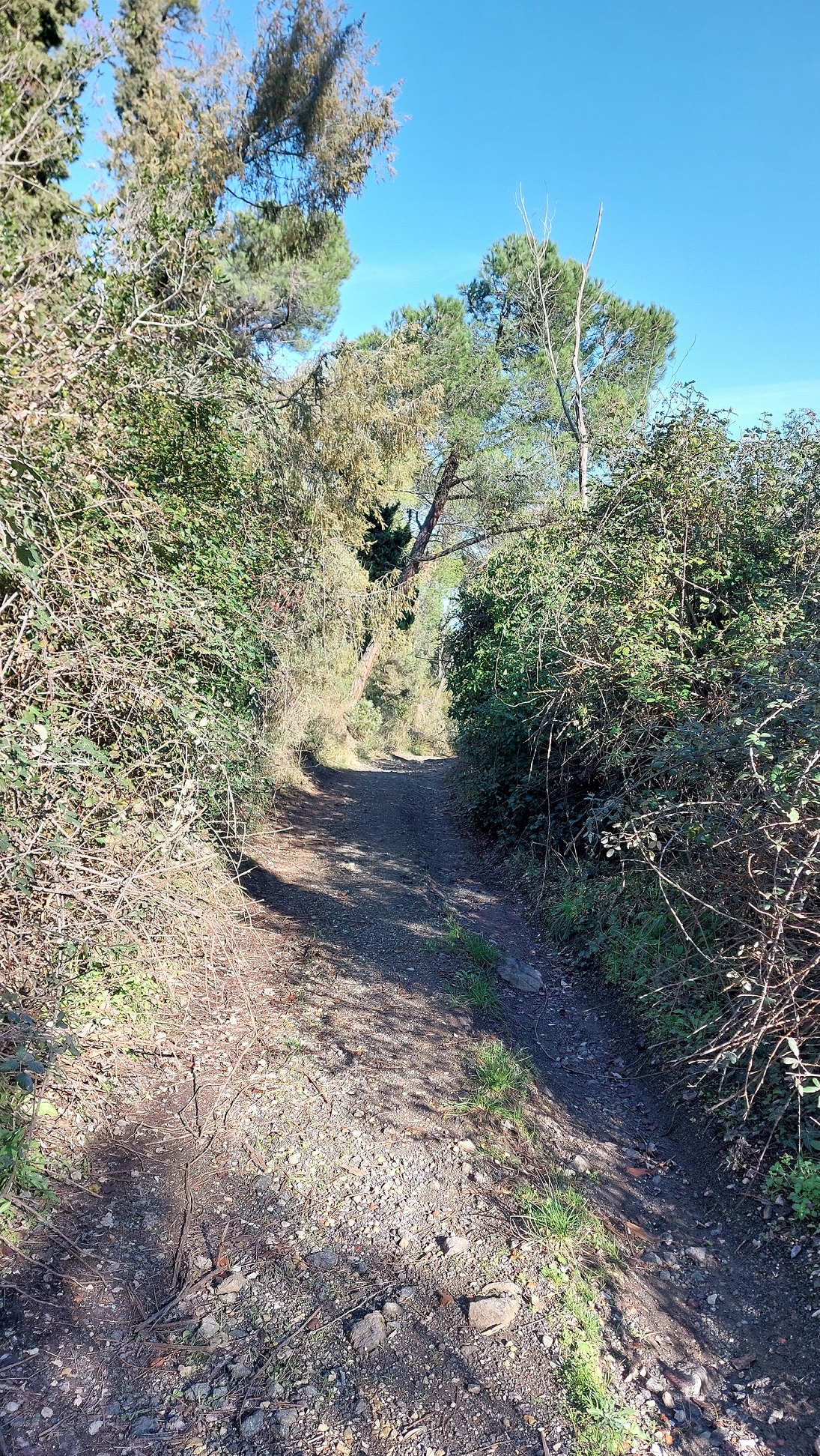 Uno dei tratti interessati