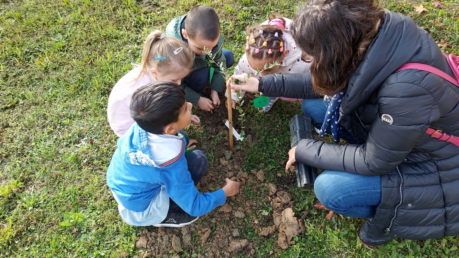 Più di un albero per ogni neonato a Figline e Incisa