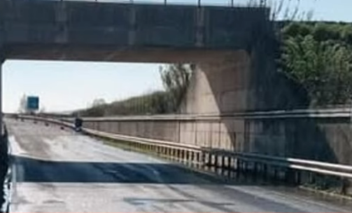 Frame Video Muoversi in Toscana - Riapertura FiPiLi 17 marzo 2025