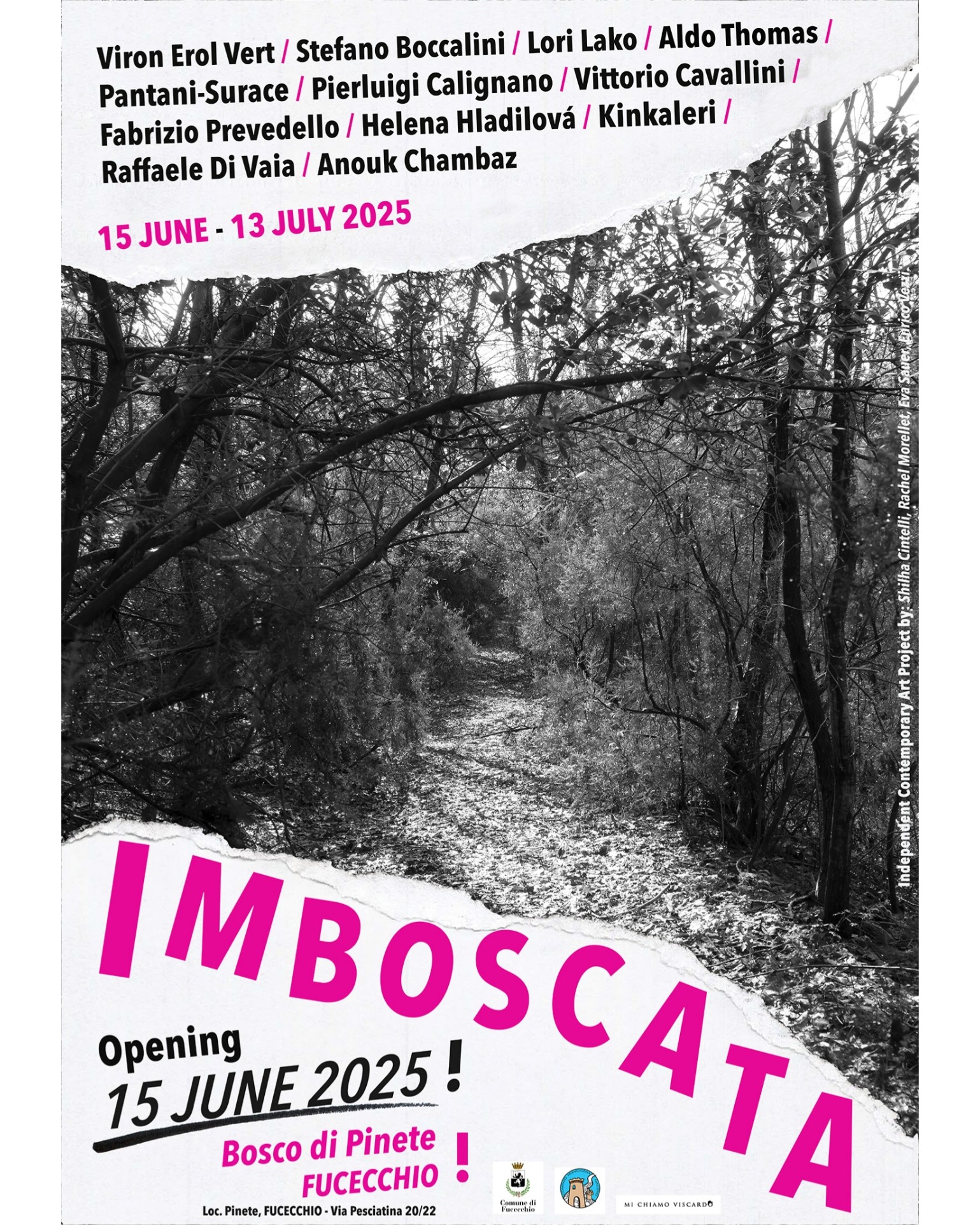 Arte e natura si fondono, nel bosco di Pinete arriva “Imboscata”