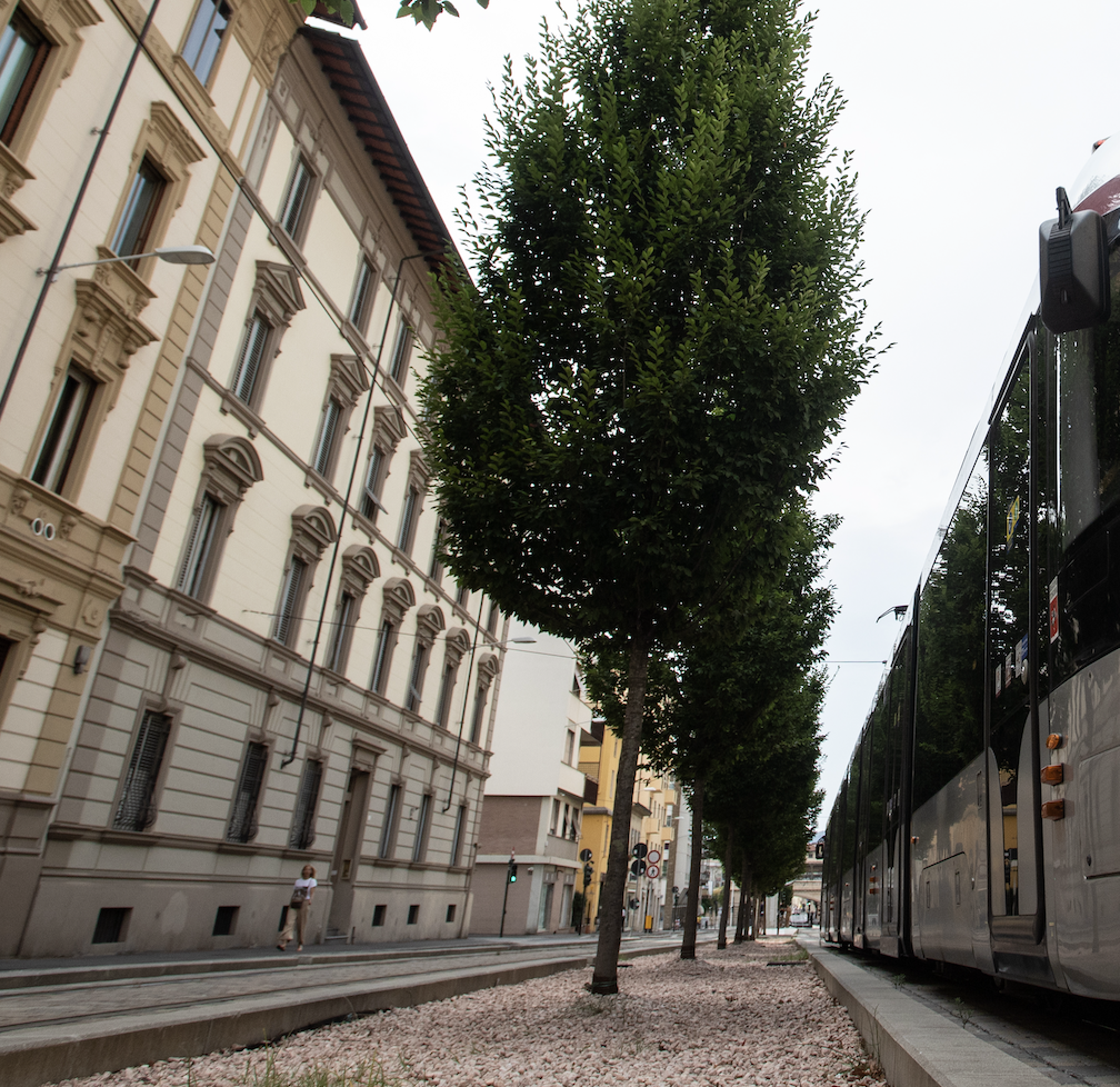 Tramvia T1 (Fonte foto Gest)