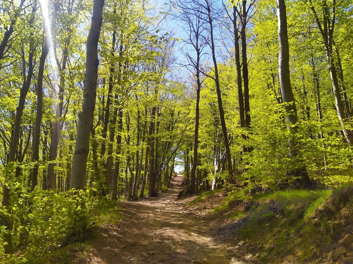 giardino Schignano (fonte foto comunicato stampa)