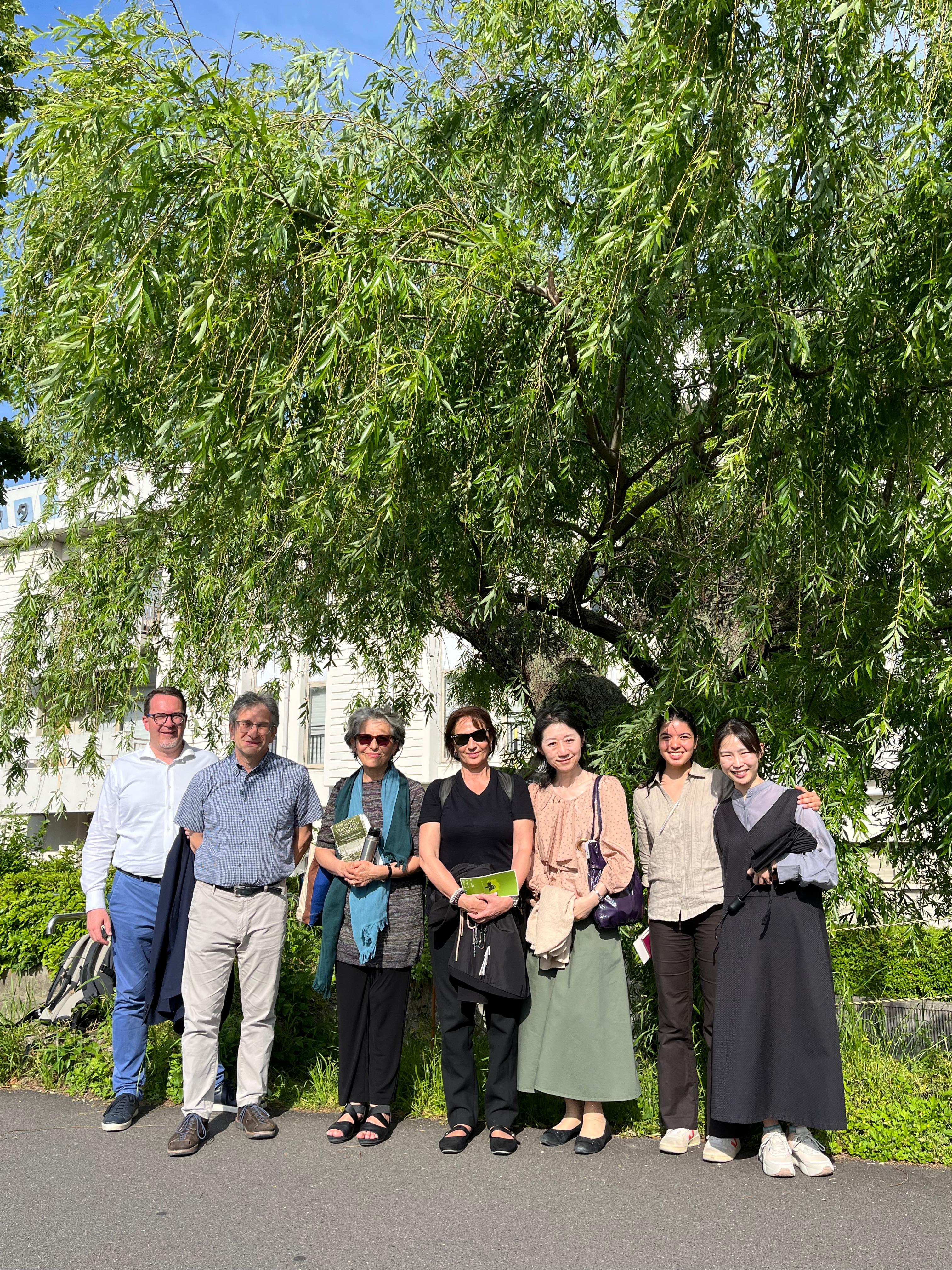 Hibakujumoku (Fonte foto comunicato Uncem)