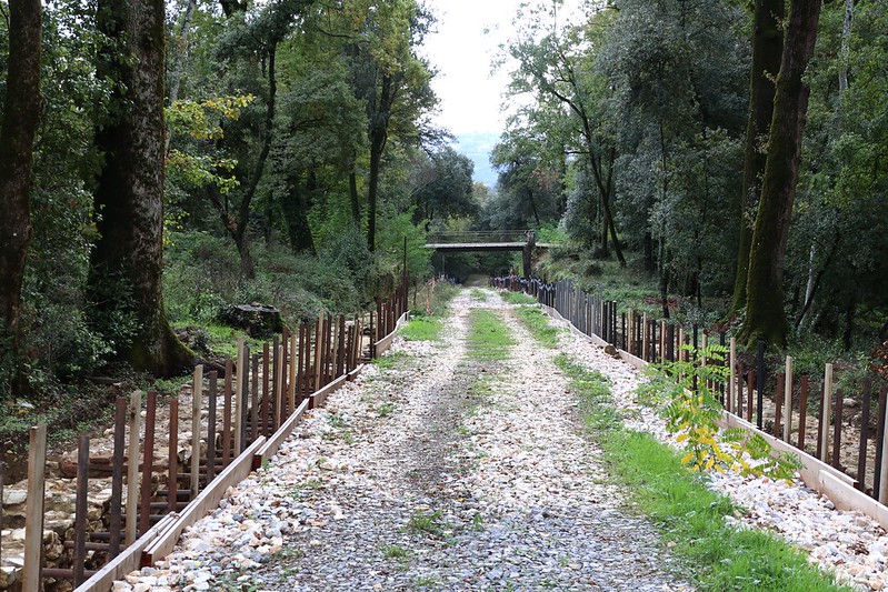 Viale degli Zampilli (foto archivio Antonello Serino - Met Ufficio stampa)