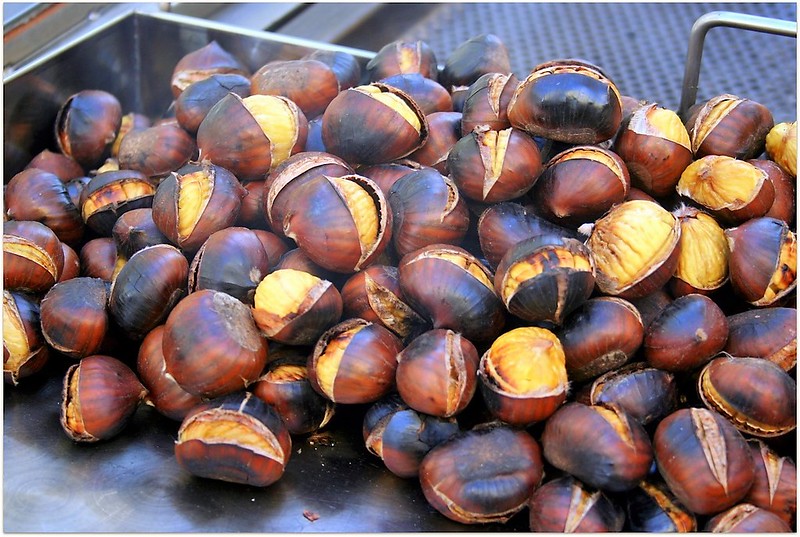 (foto archivio Antonello Serino - Met Ufficio Stampa)