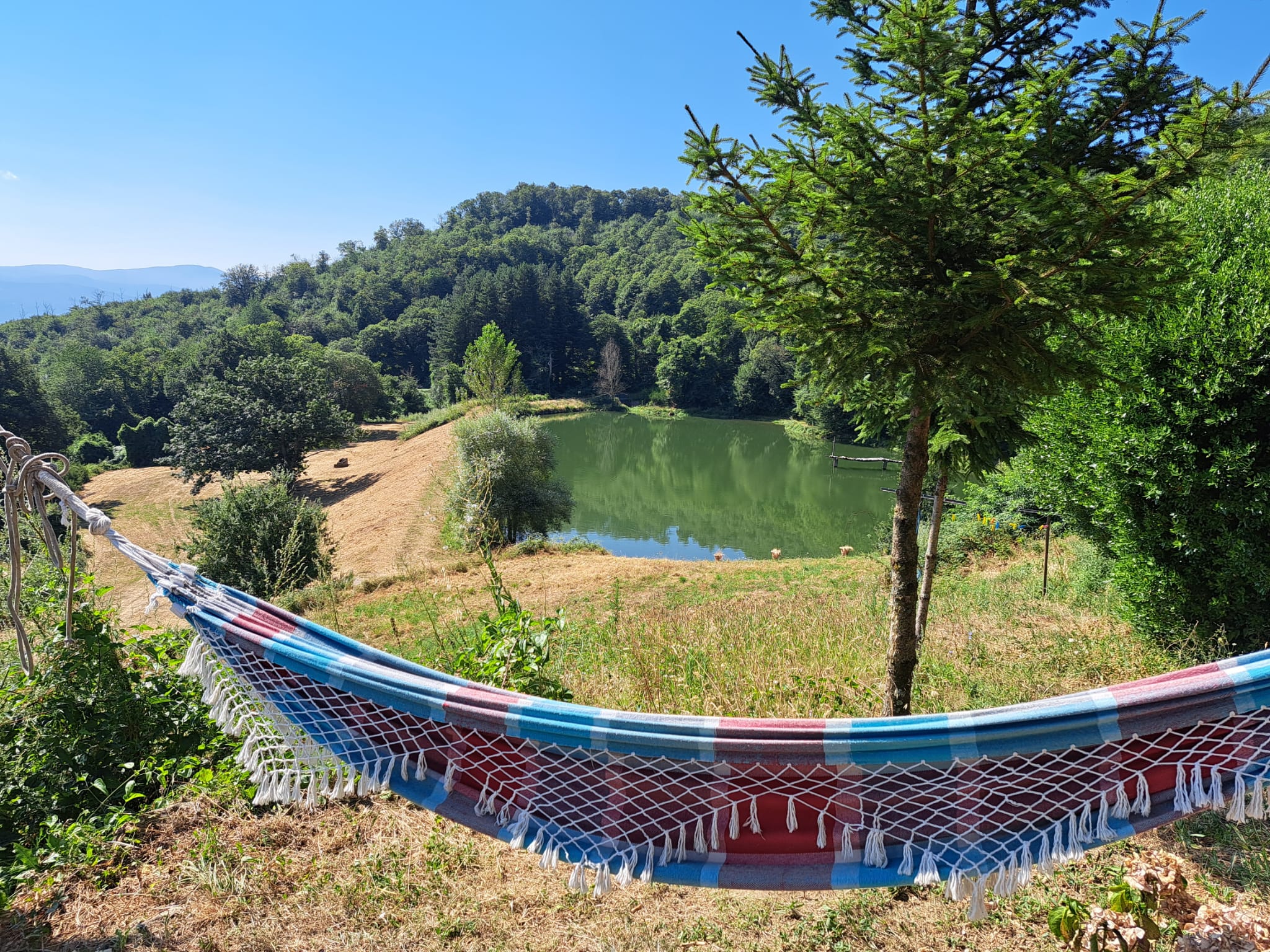 zona silenziosa - monte giovi 