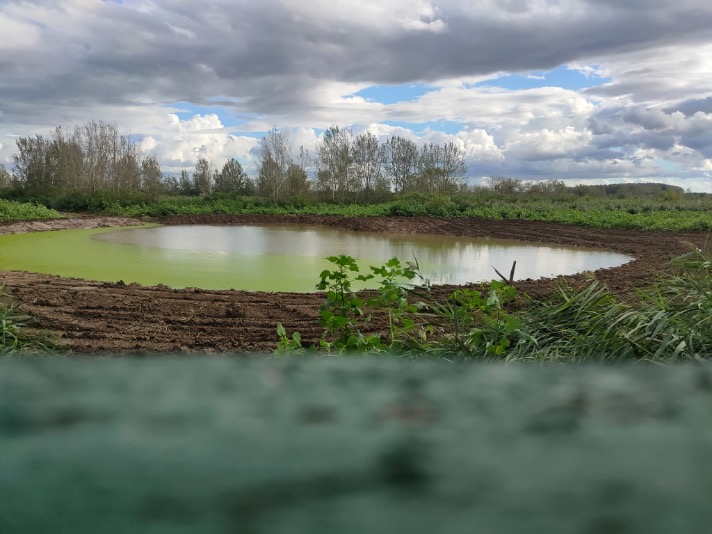 Scavo del chiaro nella Riserva Righetti (Foto da comunicato Consorzio Basso Valdarno)