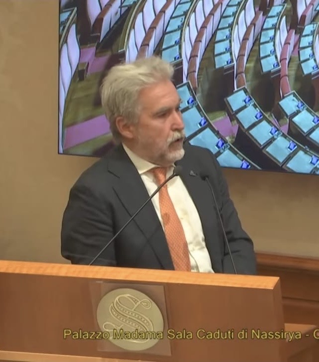 Il dr Michelagnoli durante l'intervento al Senato (Fonte foto comunicato Ausl Toscana Centro)