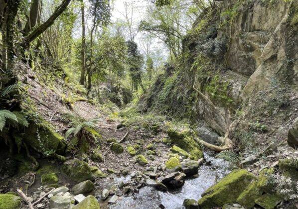 Fosso Canne prima dell'intervento (Fonte foto CBMV)