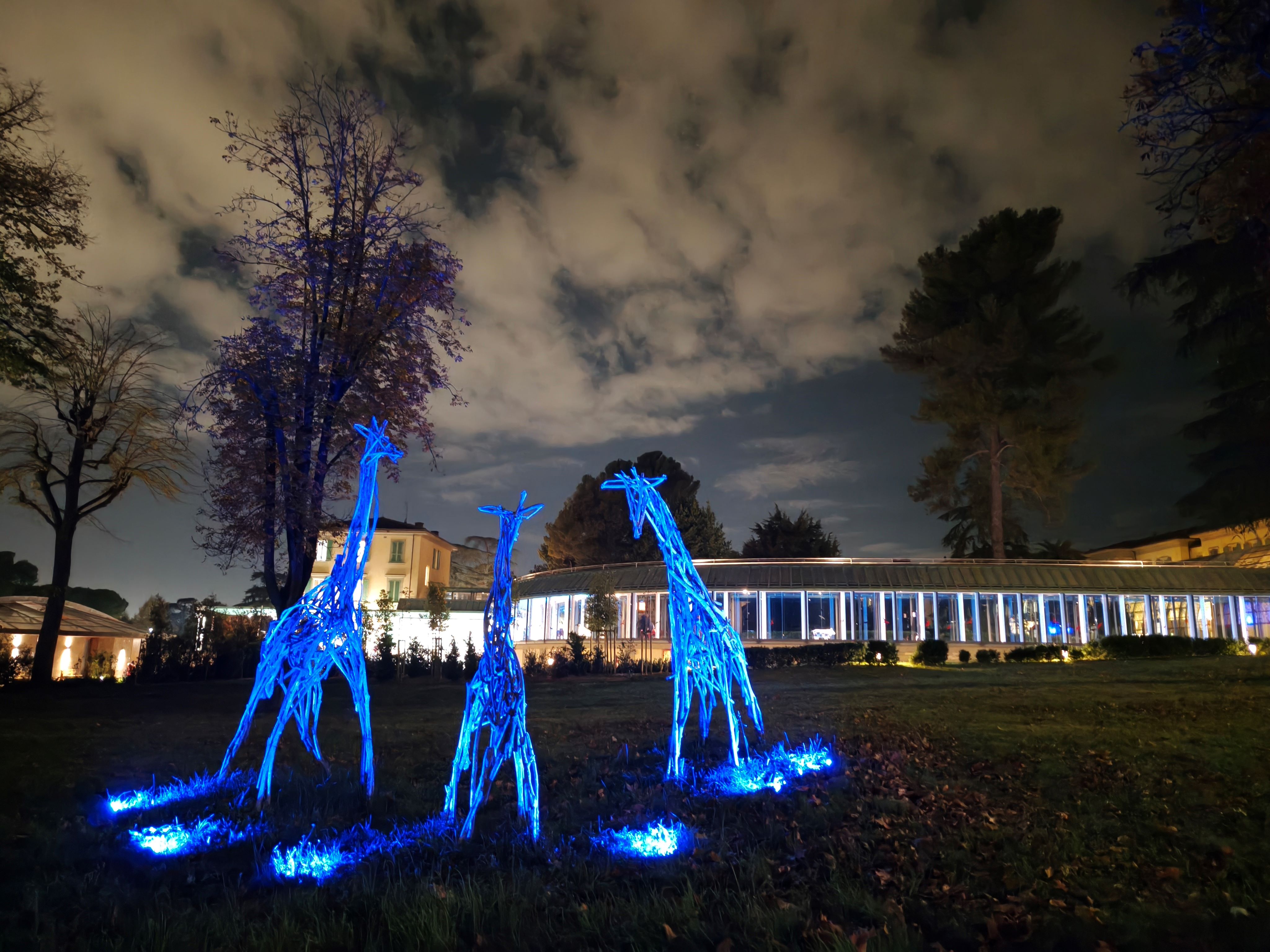 Le giraffe blue per la giornata mondiale del diabete nei bambini (Fonte foto Meyer)