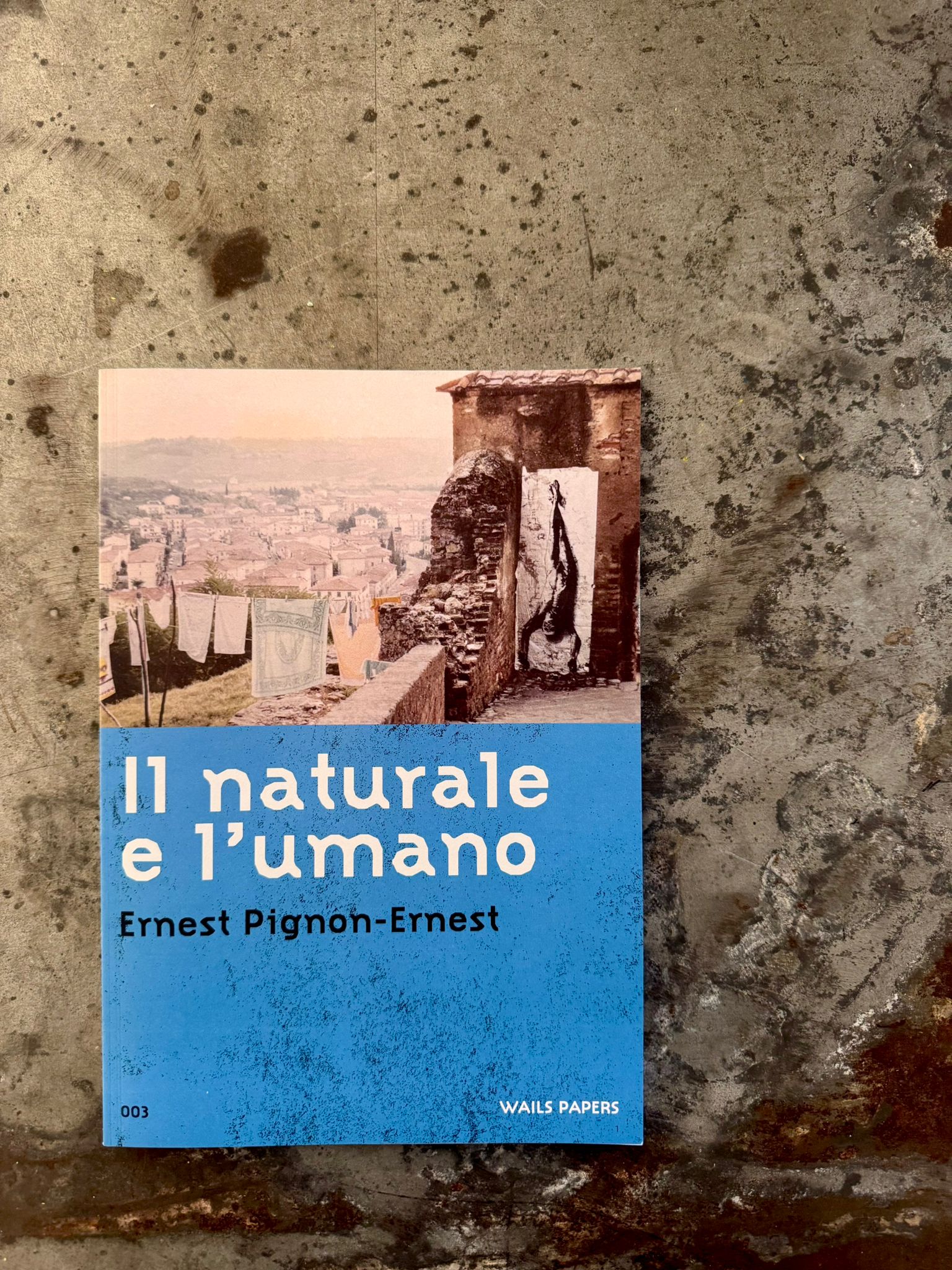 La copertina della pubblicazione